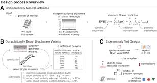 Evolution-Informed Protein Design for Enhanced Functional Properties - 1