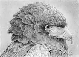 Image result for pencil art sketches