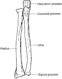 external image images?q=tbn:ANd9GcSTcBnVpgQOuX5cMbAIB9ZCfCZPZX7tVH2kNudYuPkxkl8gz-Sy_w