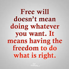 Definition of Christian liberty | quotes | Pinterest | Freedom ... via Relatably.com