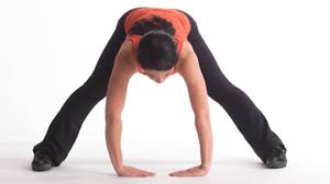 Image result for hamstring stretches