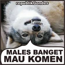 Image result for meme komen bahasa indo