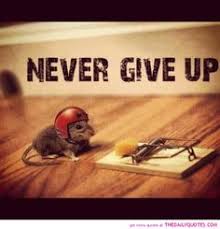 Funny Positive Quotes on Pinterest | Liking Someone Quotes ... via Relatably.com