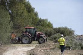 Diario de Alicante - News update