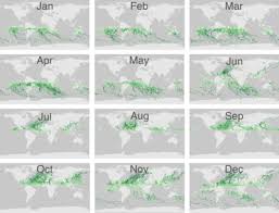 Image result for small multiples