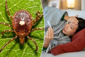 bourbon virus Picture