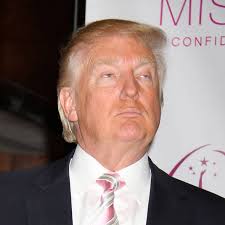 Résultat de recherche d'images pour "trump wind"