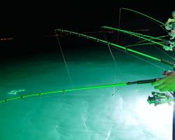 澎湖夜釣小管的圖片