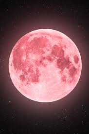 Trend Google: luna piena rosa