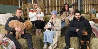 Comedians to train dogs in TV show Wagging Rights