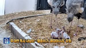 독사
