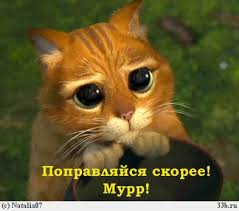 images?q=tbn:ANd9GcSUMsolimJP8zO5uTah5-2