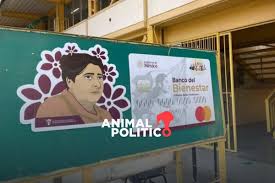Animal Politico - News update