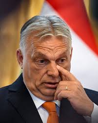 Hungarian media, activists protest against crackdown on ...