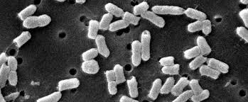 News source: Yahoo!ニュース