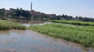 العربية - News update