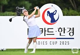 뉴시스 - News update