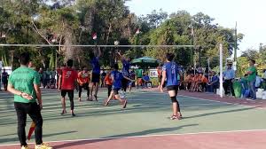 Hasil gambar untuk volly