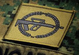 Image result for singapore infantry logo