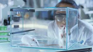 Genetic Engineering and Biotechnology News - News update