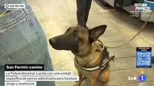 20Minutos - News update