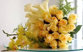 Image result for beautiful yellow roses images