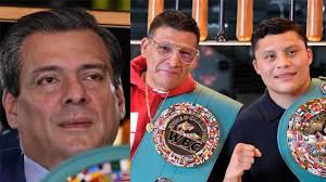 Sulaimán buscará mediar situación entre Pitbull Cruz y su padre