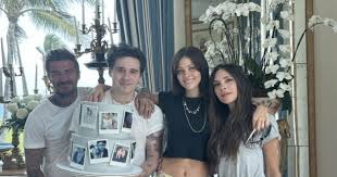 니콜라 펠츠 아이콘