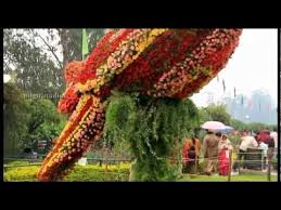 Image result for ooty botanical garden flower show 2015