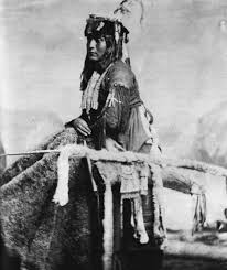 Image result for Comanche