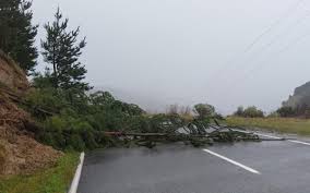 News source: RNZ