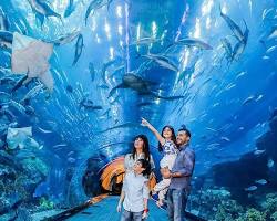 آکواریوم دبی -  تور لحظه آخری دبی