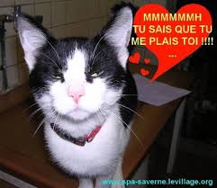 images?q=tbn:ANd9GcSV18tQscf6-aG4cY6ItkoC4g4C4mdte_Eydwr3Rvjlczts5eUY