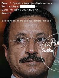 sultan ahmed bin sulayem