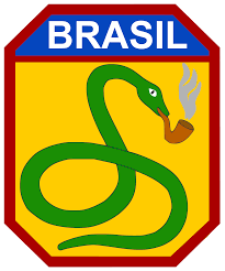 Image result for america invades brazil