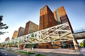 Image result for the hague