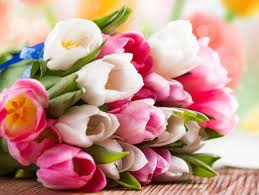 Resultado de imagen de flores