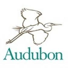 Resultado de imagen de Audubon Society