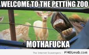 Image result for welcome to the internet meme