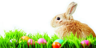 Résultat de recherche d'images pour "easter bunny"