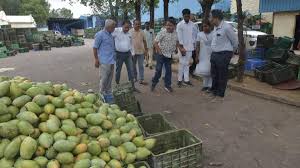 VROs, constables to be posted at mango procurement points