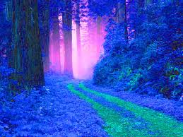 Image result for avatar forest