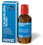 1reines Spirulina Pulver, 500g Sparpackung