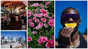 WNBA Star Naz Hillmon Finds Passion in Photography Off the Court