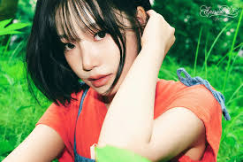 MSN - News update