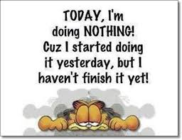 Résultat de recherche d'images pour "gifs garfield humour"