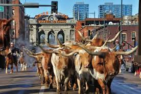 National Western Stock Show in Denver, Colorado
