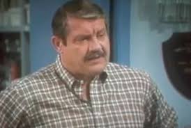 Résultat de recherche d'images pour "webster tv show"