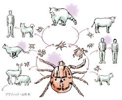 朝日新聞 - News update