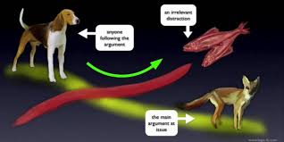 Image result for red herring